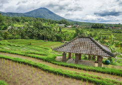 bali countryside