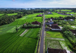countryside road