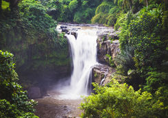 bali waterfall