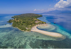 menjangan island