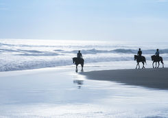 bali horseback