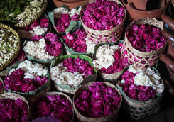flower sell in wooden box for festival