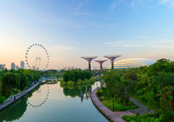 gardens by the bay in singapore