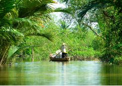 Mekong Delta boat