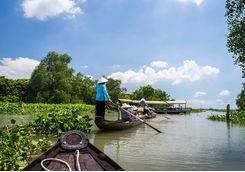 Rowing boats in the Mekong Delta
