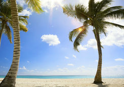untouched tropical beach