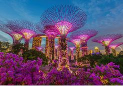 night view of gardens by the bay with pink artificial trees