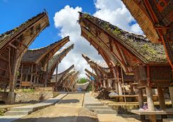 tongkonan traditional rice barns and house