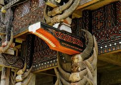 traditional facade house with horns of buffaloes