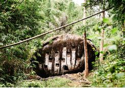 old torajan burial site