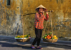 Vietnamese woman selling tropical fruits in old quarter