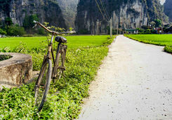 Rustic bicycle with paddy field in the background
