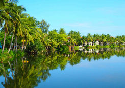 Hoi An jungle river reflection