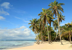 White sand beach on the south coast of Antigua
