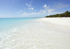 White sandy beach in Antigua
