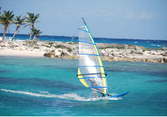 Windsurfing in the Caraibes