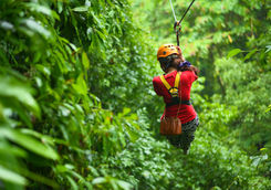 Zipline tour in the Antiguan rainforest