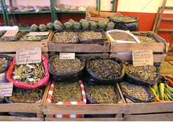 Mexican herbs market in San Miguel del Allende