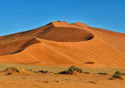 desert view