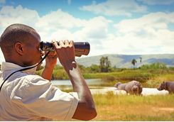 man with binoculars watching wild animals