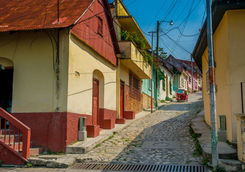 colourful street flores