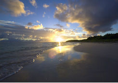 Nonsuch Bay beach