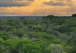 Sunset on a african skyline in KwaZulu Natal