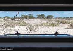 View from the Hide at Onguma