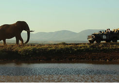 Thanda game drive