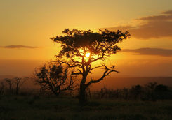Sunset at Thanda