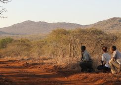 Thanda bush walk