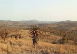 Thanda scenery