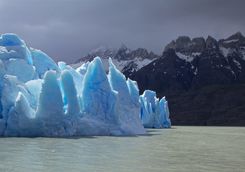spectacular grey glacier