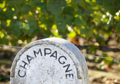 Stone champagne sign in a vineyard