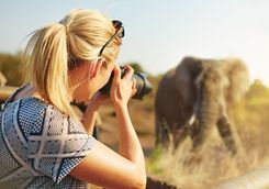 Woman capturing an elephant