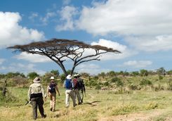 Group of people on walking safari