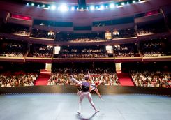 rear view of ballet dancers