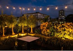 table with illuminated trees at night