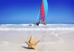 beach starfish and sailboat