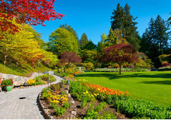 Path in Butchart Gardens