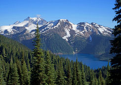 Garibaldi lake from the forest