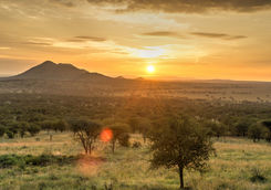 Sunrise in Serengeti National Park