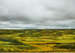 Lava field