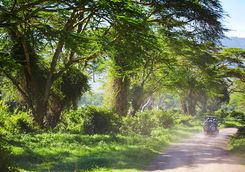 Arusha drive