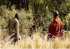 Arusha walking safari