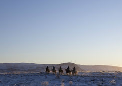 Horseback riding in Iceland in winter
