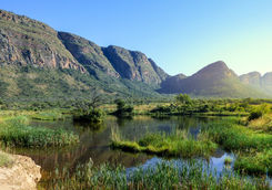 View of swamp with hippos and a mountain range