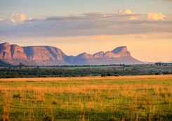 Waterberg mountains under sunrise