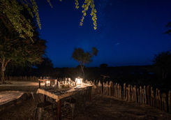 Bush dinner under starlight