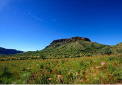 Marakele National Park